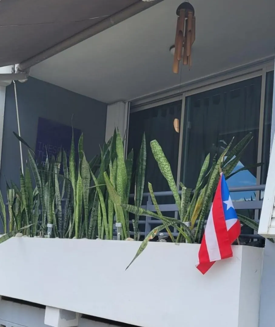 6 Min Away Bad Bunny'S Venue,Full Gen Nxt Condado Lägenhet San Juan 0*,  Puerto Rico